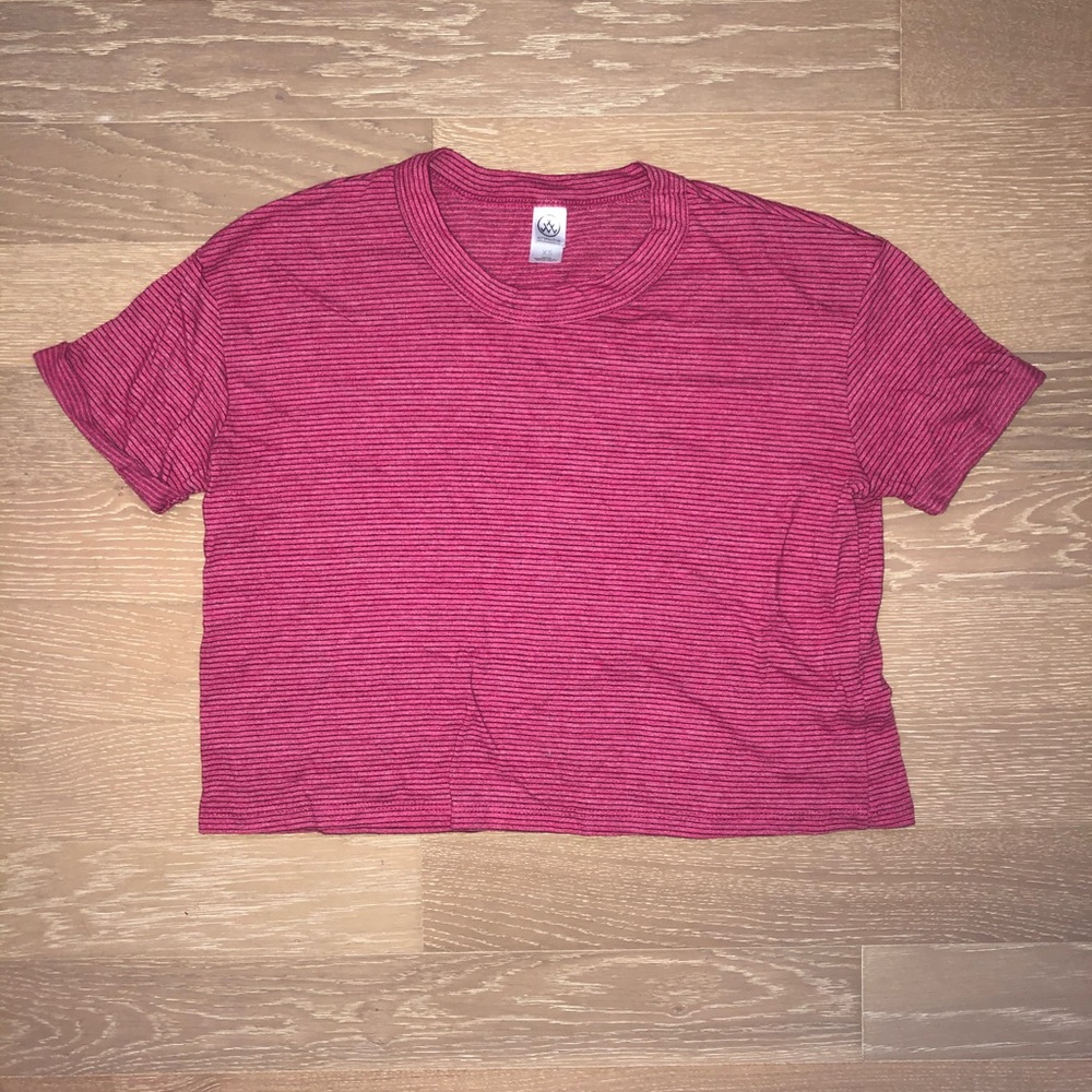 Alternative Apparel striped crop top